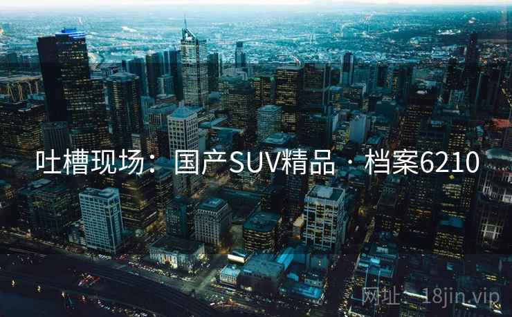 吐槽现场：国产SUV精品 · 档案6210