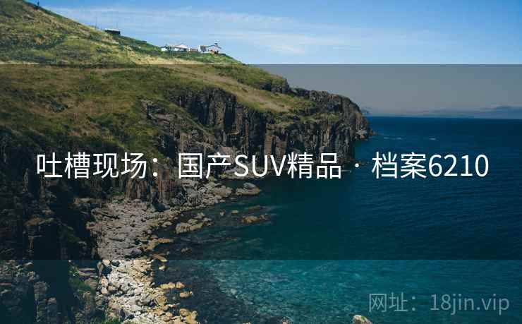 吐槽现场：国产SUV精品 · 档案6210