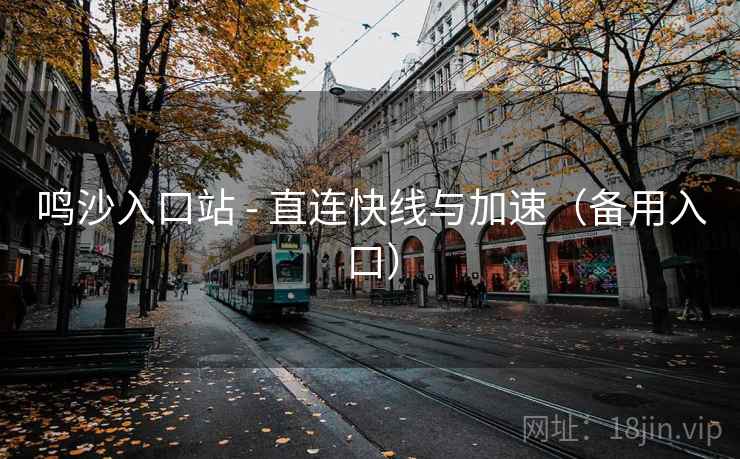 鸣沙入口站 - 直连快线与加速（备用入口）