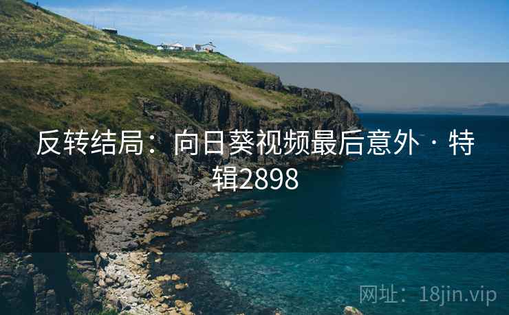 反转结局：向日葵视频最后意外 · 特辑2898
