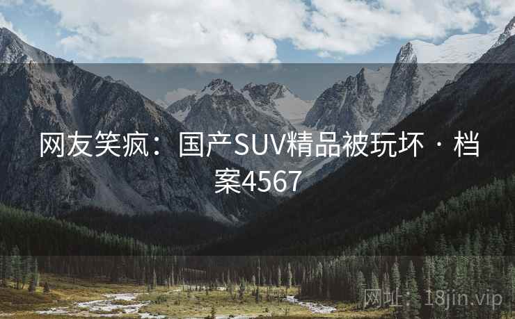 网友笑疯：国产SUV精品被玩坏 · 档案4567