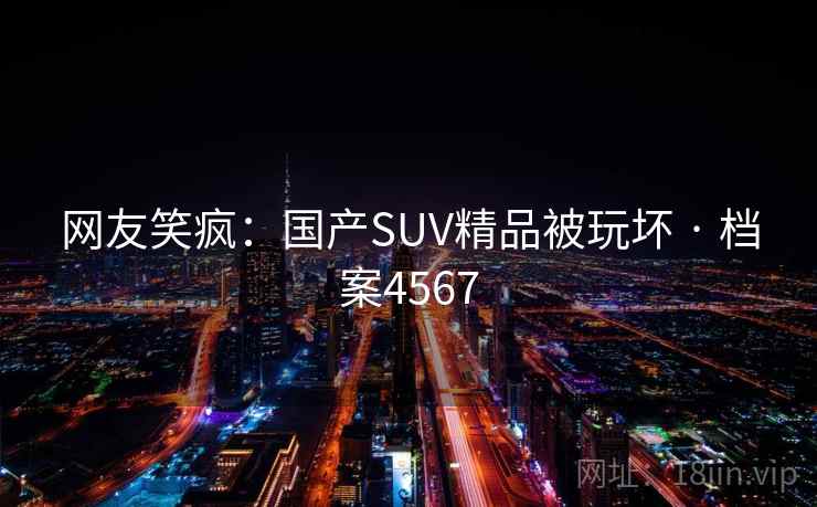 网友笑疯：国产SUV精品被玩坏 · 档案4567