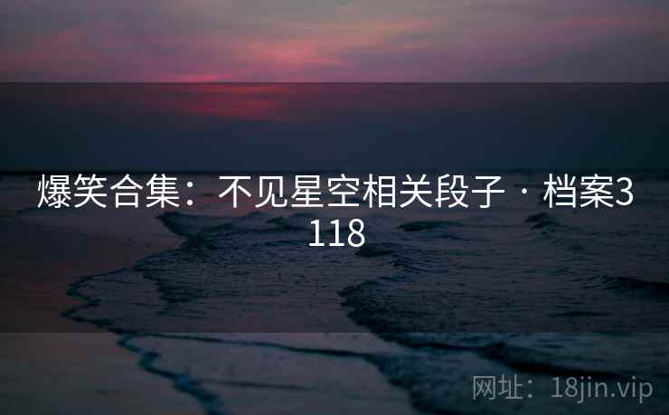 爆笑合集：不见星空相关段子 · 档案3118